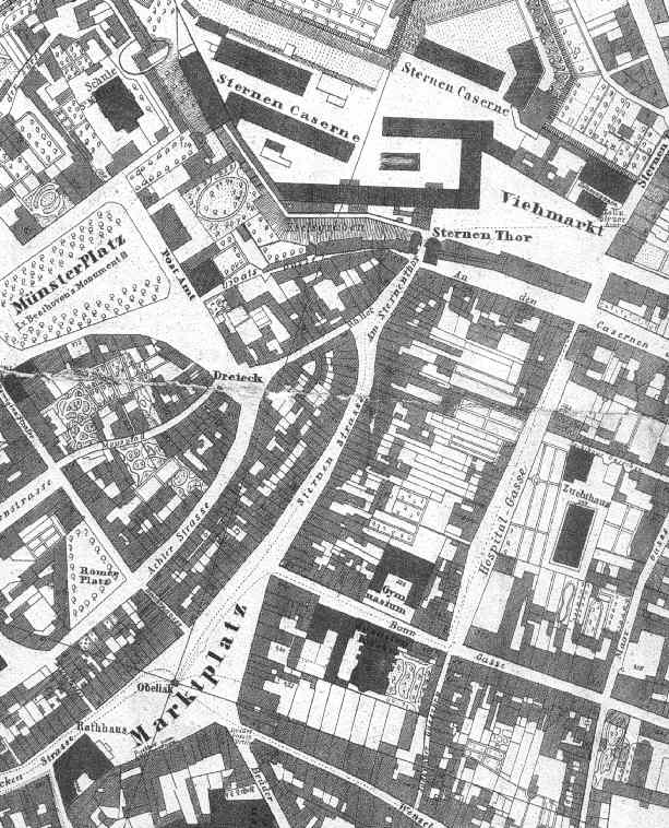 Bonner Stadtplan 1865